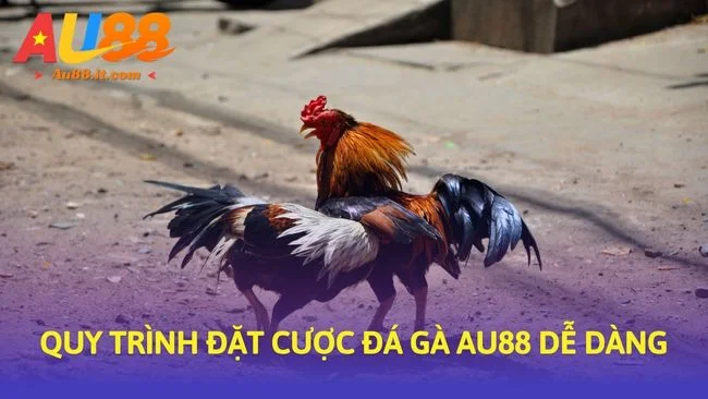 Quy trình đặt cược Đá gà Au88 dễ dàng
